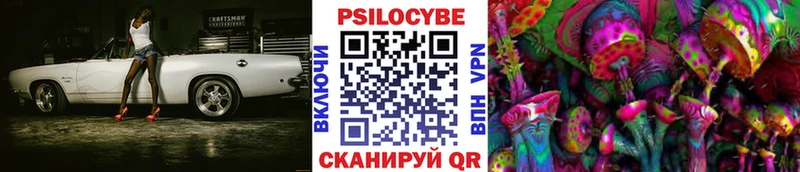 Псилоцибиновые грибы Psilocybe  Елизаветинская 